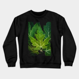 Farewell Green Leaves. Nature Photography Crewneck Sweatshirt